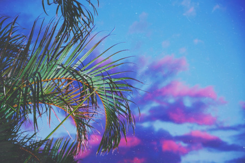 ::::::.... bntpal_1428586492_49