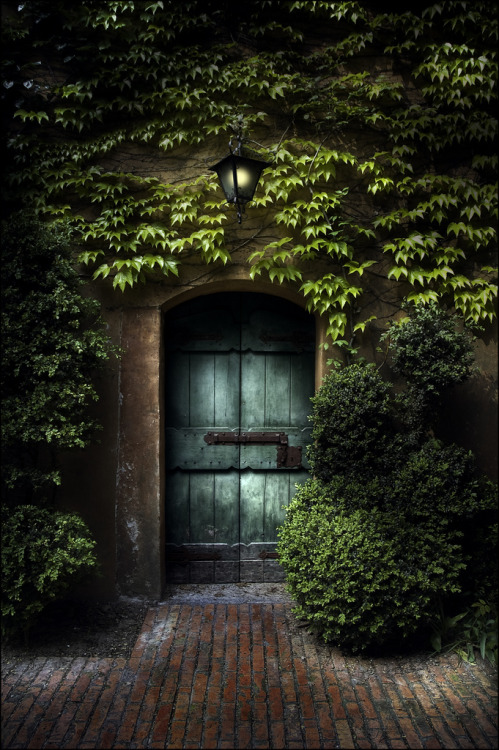 ::::::.... bntpal_1428586493_51