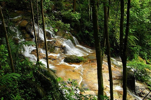    bntpal_1428641833_33