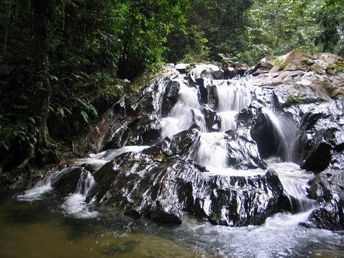    bntpal_1428641833_43