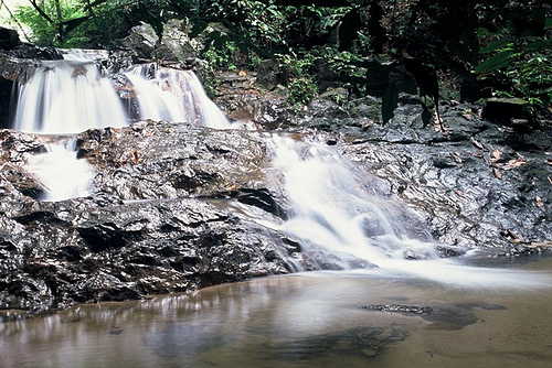    bntpal_1428641834_26