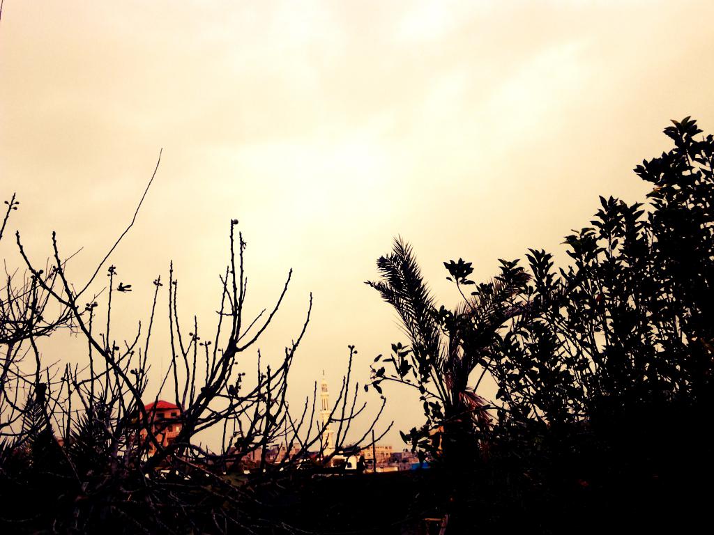  bntpal_1428763383_18