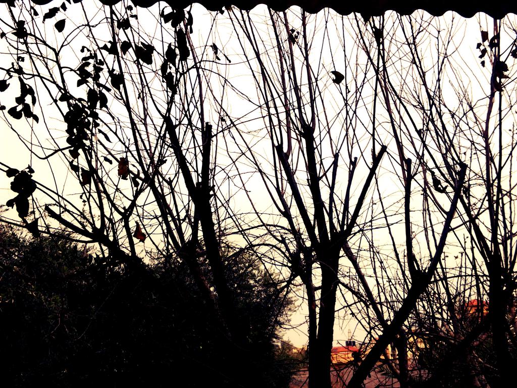  bntpal_1428763383_72