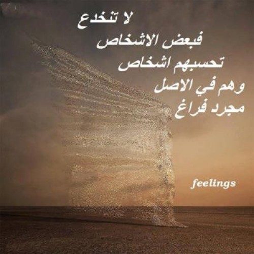  bntpal_1428847300_45