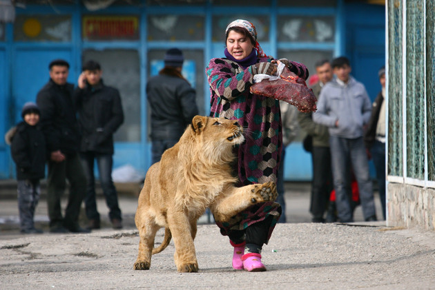 - -2015 bntpal_1428956535_51