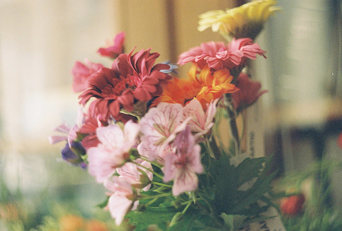 bntpal_1429078779_98
