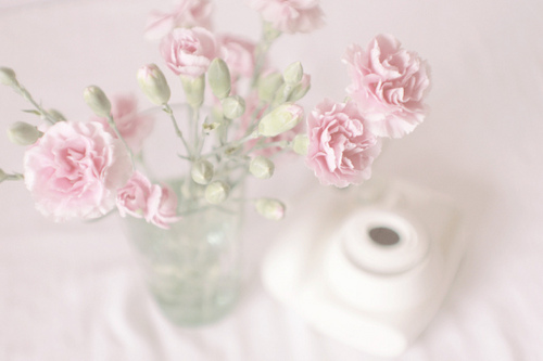 bntpal_1429079080_40