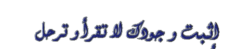 Adobe Flash Player bntpal_1429162423_69