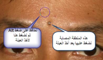  bntpal_1429162837_75