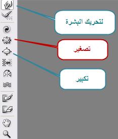  bntpal_1429162841_46