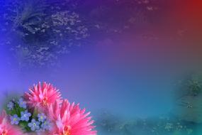  bntpal_1429162845_27