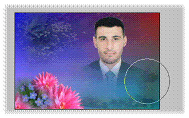  bntpal_1429162846_37