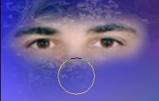  bntpal_1429162846_60