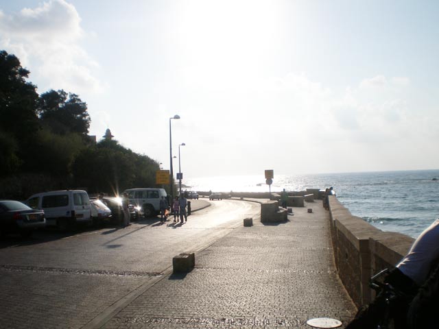 2015 bntpal_1429177123_44