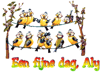 bntpal_1429243203_82