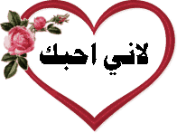 bntpal_1429254096_27