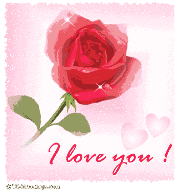 bntpal_1429254099_91
