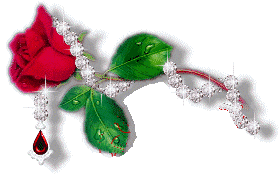  bntpal_1429340602_20
