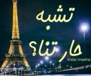bntpal_1429479250_15