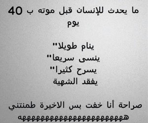 bntpal_1429479250_32