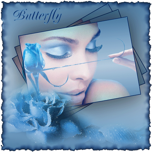 bntpal_1429502089_61