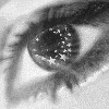 bntpal_1429502269_36
