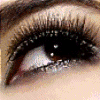 bntpal_1429502269_37
