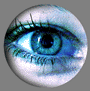 bntpal_1429502269_53