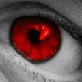 bntpal_1429502269_63