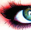 bntpal_1429502269_64