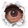 bntpal_1429502269_66