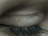 bntpal_1429502269_90