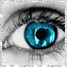 bntpal_1429502269_90