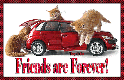 farinds ever bntpal_1429502554_54