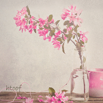 bntpal_1429520032_84