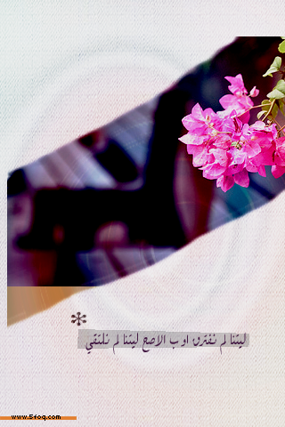 bntpal_1429520108_46