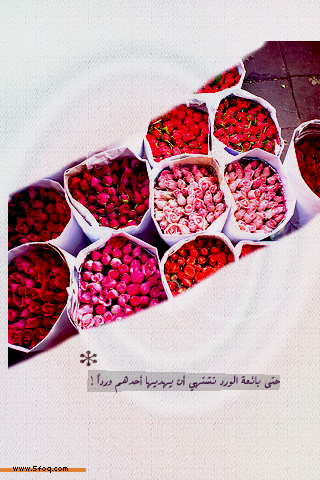 bntpal_1429520109_21