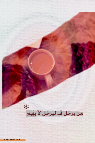 bntpal_1429520109_77