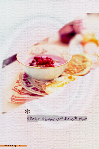 bntpal_1429520109_90