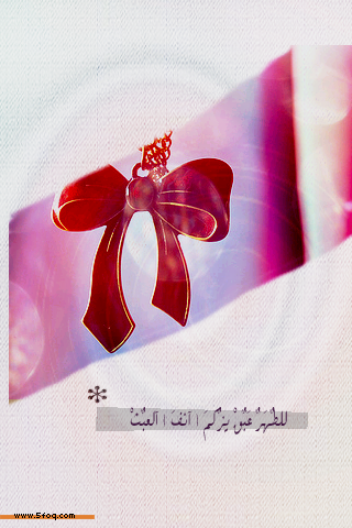 bntpal_1429520110_66