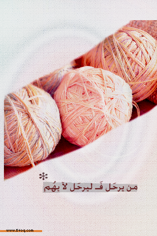 bntpal_1429520112_39