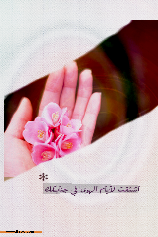 bntpal_1429520113_94
