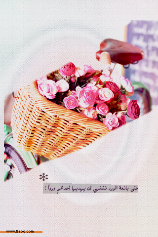 bntpal_1429520114_65