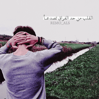 bntpal_1429522124_31