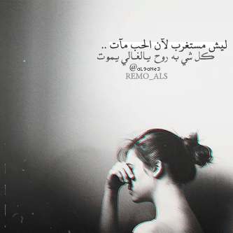 bntpal_1429522130_16