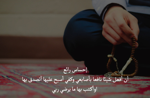 bntpal_1429594784_98