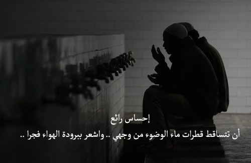 bntpal_1429594785_10