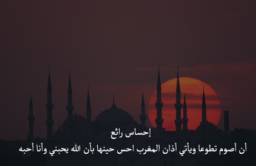 bntpal_1429594785_16