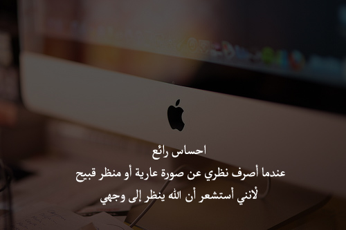 bntpal_1429594785_35