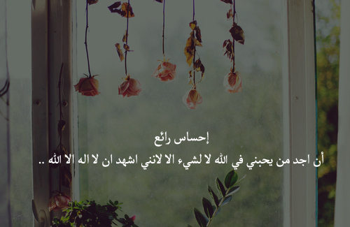 bntpal_1429594785_59